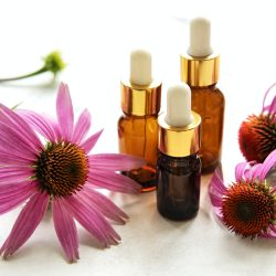 Echinacea and essential oils